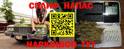 гидра Шахты