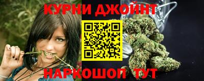 гидра Шахты