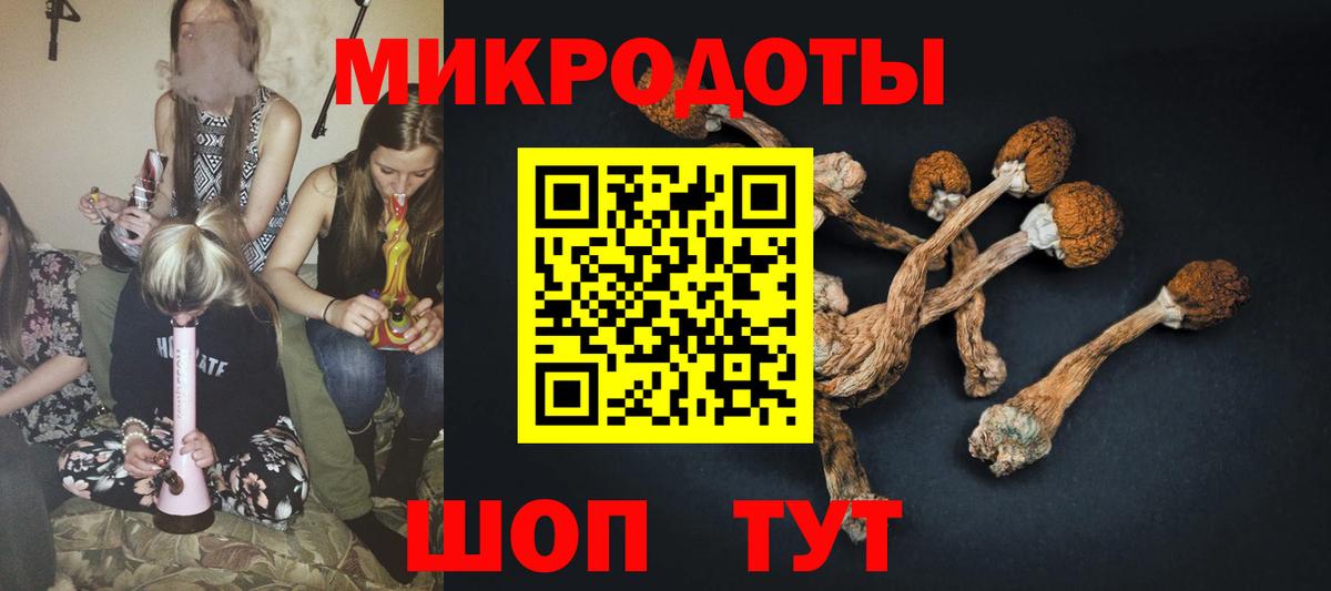 Урус-Мартан  Галлюциногенные грибы мицелий  Вход с VPN 